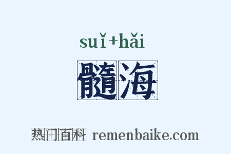 髓海是什么意思的图片